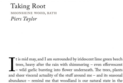 Taking Root moonshine wood 1cPiers Taylor-1